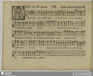 VII. Adiuro vos filiae Jerusalem