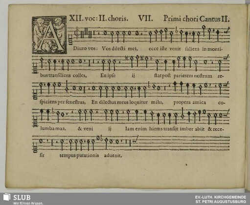 VII. Adiuro vos filiae Jerusalem