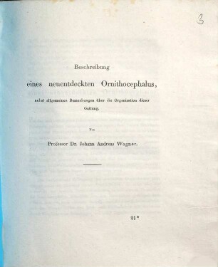 Beschreibung eines neuentdeckten Ornithocephalus : nebst allgemeinen Bemerkungen über die Organisation dieser Gattung