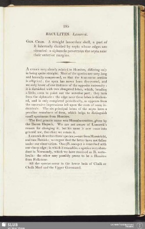 Baculites. Lamarck