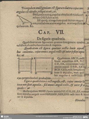 Cap. VII. De figuris quadratis