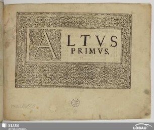 Altus primus