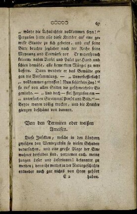Von den Termiten oder weißen Ameisen. - Die unglückliche Verkleidung.