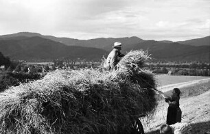 Kappel: Heu aufladen, mit Wagen; Schwarzwald