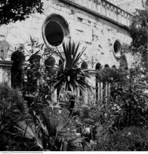 Sveti Franjo
