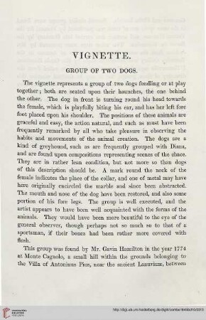 Vignette: Group of two dogs