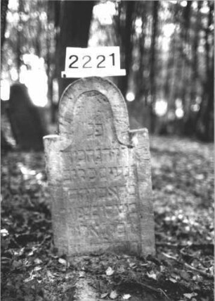 Grabstein 2221