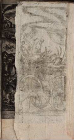 Hanen-Reyers Triumph