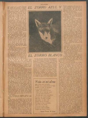 El zorro azul y el zorro blanco