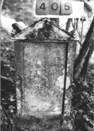 Grabstein 405 (Index: 99799619) Material: Sandstein Zustand: stark verwittert Maße HxBxT: 100x48x11 cm Beschreibung: Stele, Abdeckplatte, Giebelaufsatz, Seitenakrotere, Schriftfeld eingetieft, Sockel Symbolik: floral: Grabstein 405