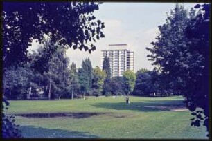 Blick in den Volkspark Wilmersdorf