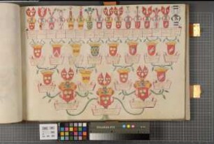 Proband: Spiegel zum Desenberg, Fritz Ernst von; Vater: Spiegel zum Desenberg, Theodor Hermann von; Mutter: Spiegel zum Desenberg, Maria Theresia von: Westfalen, Hzgtm, Ritterschaft