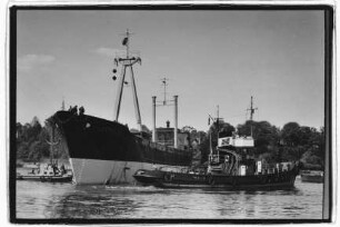 Perikles, Neptun.- Dampfschifffahrts-Gesellschaft „Neptun“, Neptun Linie, D.G. "Neptun", Bremen