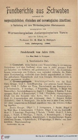 7: Fundchronik vom Jahre 1899