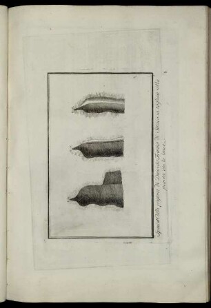 [Abbildung] 15. - 19.