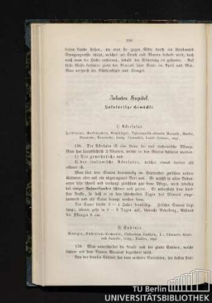 Zehntes Kapitel. Salatartige Gewächse.