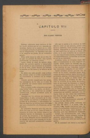 Capítulo VII - Dos almas tristes