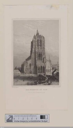 Das Münster zu Ulm