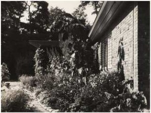 Garten Niemczyk, Potsdam-Nedlitz: Pflanzung am Haus vor Umbau