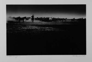 Puszta / Ungarn : Ungarn. Puszta. Pferdeherde. Fotografie; 35 x 50,1 cm Blattgröße, 24,1 x 38,1 cm Bildgröße. 1961