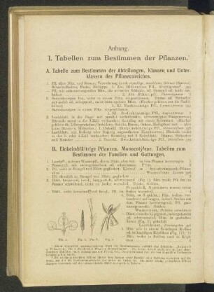 Anhang. 1. Tabellen zum Bestimmen der Pflanzen.