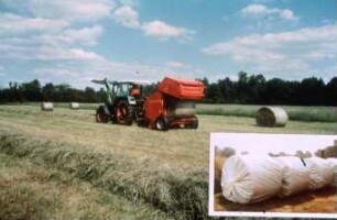 Fotografie: Erntetechnik, Rundballenpresse, Heuernte