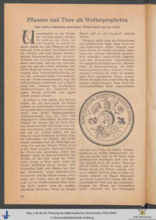 Pflanzen und Tiere als Wetterpropheten.
