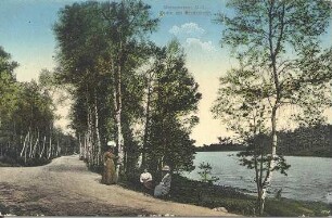 Braunsteich bei Weißwasser : Landschaft - Teiche und Flüsse. Ort: Běła Woda / Weißwasser. Am Braunsteich. Colorierte Postkarte ( Verlag Ernst Wobst, Weißwasser)