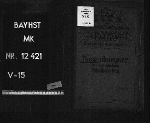 Neuenhammer (Bezirksamt Vohenstrauß), Schulhausbau