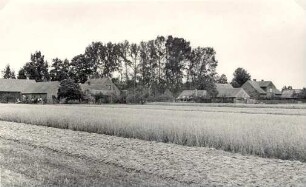 Gesamtansicht von Stradow-Ausbau : Pohlad na Tšadow (Delnja Łužica)
