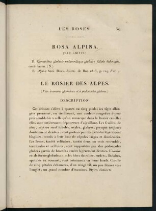 59-60, Rosa Alpina (Var. Laevis.) Le Rosier des Alpes (Var. à ovaires globuleux et à pédoncules glabres.)