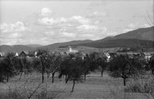 Steinenstadt: Blick aus dem Rheinwald von Westen auf Steinenstadt