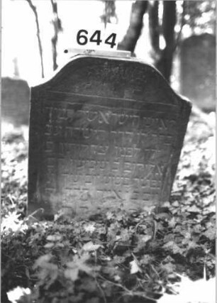Grabstein 644 (Index: 99900611) Material: Sandstein Zustand: unten verwittert, sonst leicht angewittert Maße HxBxT: 72x61x7 cm Beschreibung: Stele mit Konvexbogenabschluss, im Bogenfeld Blüte Symbolik: Blüte: Grabstein 644