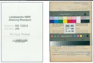 Entnazifizierung Gertrud Sprengel , geb. 26.09.1901 (Lehrerin)