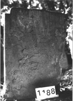 Grabstein 1188 (Index: 99899935) Material: Sandstein Zustand: fast völlig verwittert Maße HxBxT: 93x62x8 cm Beschreibung: Stele mit sehr flachem, eingezogenem Schulterbogenabschluss, im Bogenfeld Blüte Symbolik: Blüte: Grabstein 1188