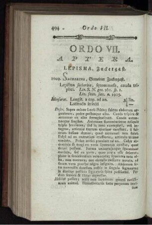 ORDO VII. APTERA.