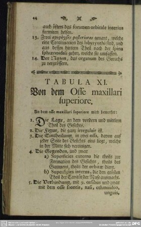 Tabula XI. Von dem Osse maxillari superiore
