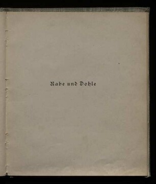 Rabe und Dohle