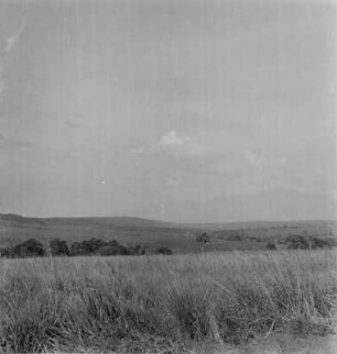 Landschaft : Blick über eine Landschaft