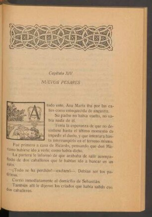 Capítulo XIV - Nuevos pesares