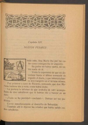 Capítulo XIV - Nuevos pesares