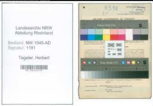 Entnazifizierung Herbert Tegeler , geb. 14.08.1920 (Kraftfahrer)