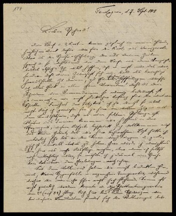 Brief an Richard, 07.09.1909, Tendaguru