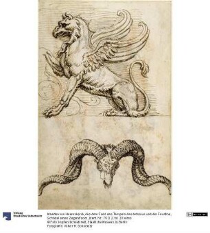 Aus dem Fries des Tempels des Antonius und der Faustina, Schädel eines Ziegenbocks