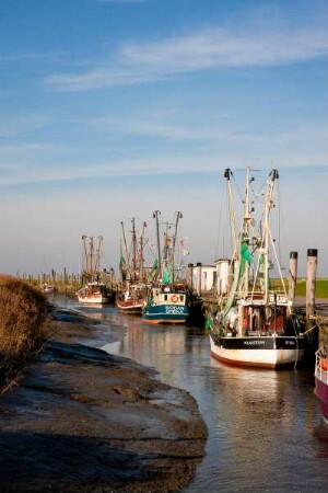 Deutschland. Niedersachsen. Spieka Neufeld. Kutterhafen bei Ebbe