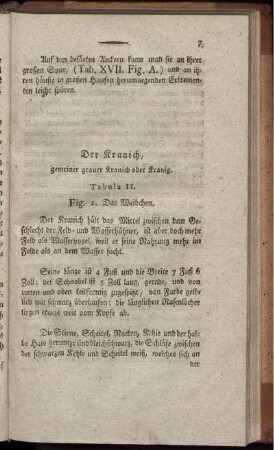 Der Kranich, gemeiner grauer Kranich oder Kranig