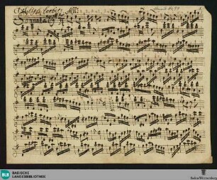 Sonatas - Mus. Hs. 94 : vl, b; G