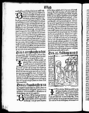 Des xi Sondaghes na der hilghe[n] drevoldicheit