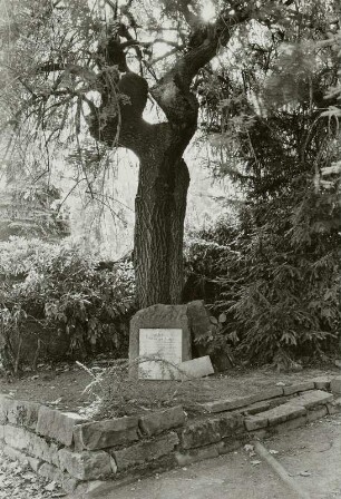 Grabstein für Carl Adolf Mirius und seine Familie