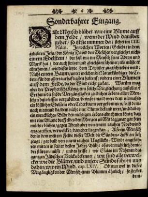 Sonderbahrer Eingang.